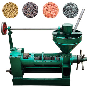 small 6YL-80 safflower sunflower soybean olive palm peanut oil press mill expeller machine