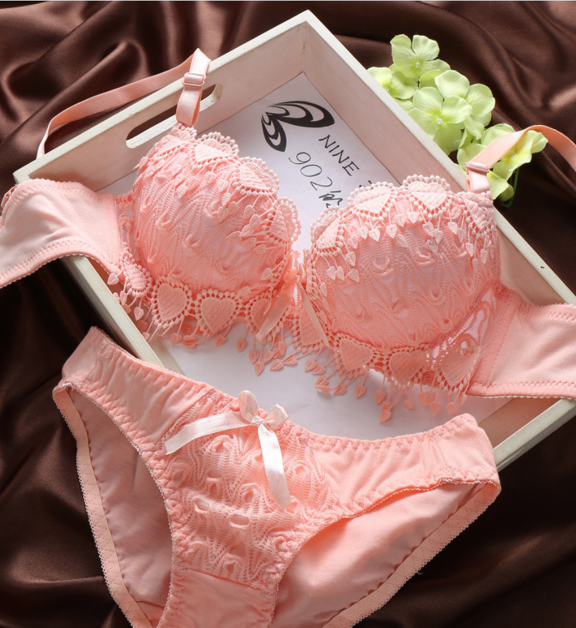 32-38 B Cup Lace Bra panties Sets Lovely Girls Cute Push Up Lace Underwire Embroidered Bra and brief Sets for Women