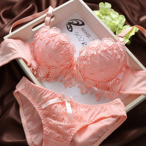 32-38 B Cup Lace Bra panties Sets Lovely Girls Cute Push Up Lace Underwire Embroidered Bra and brief Sets for Women