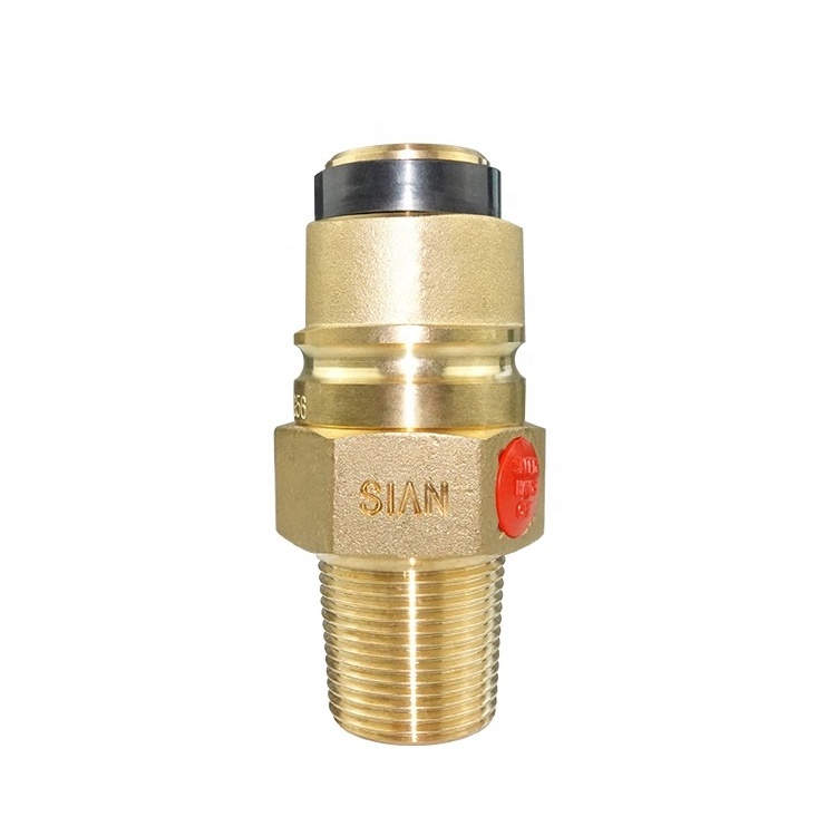 SiAN LPG Valve Manufacturer Propane Gas Cylinder Safety Valves D35 Control Jumbo Valve 25E With TPED Certified