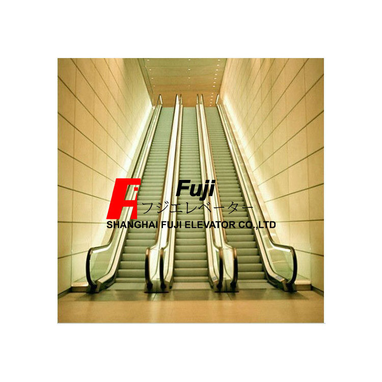 Low Price Net weight automatic mechanical indoor escalator