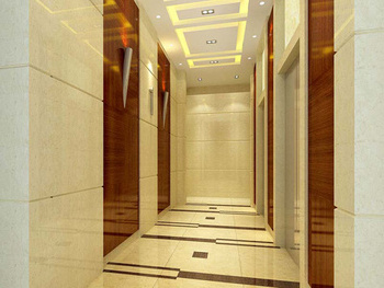 China famous brand home elevator small elevator lift used for sale