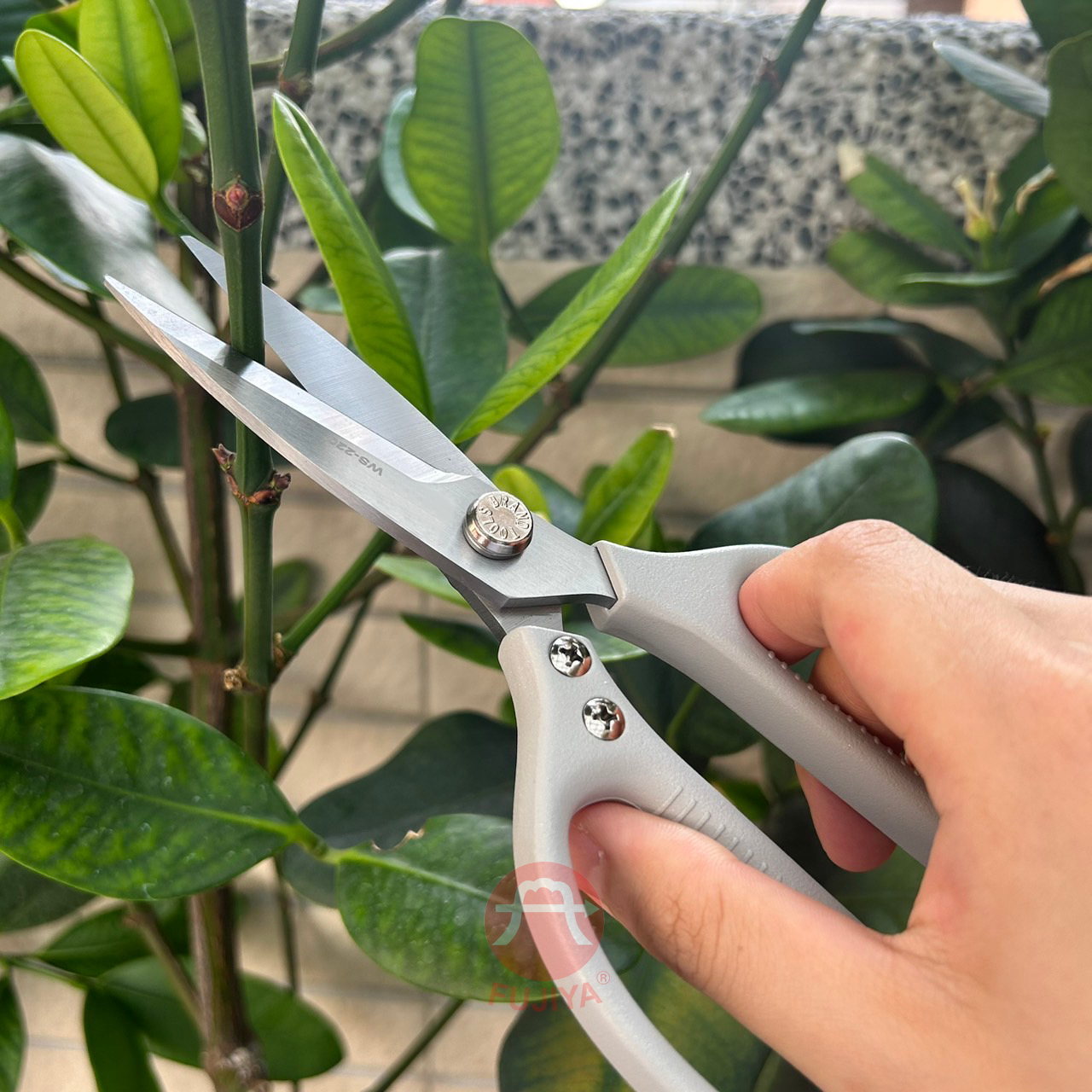 Stainless steel multifunction Household Cutting shears