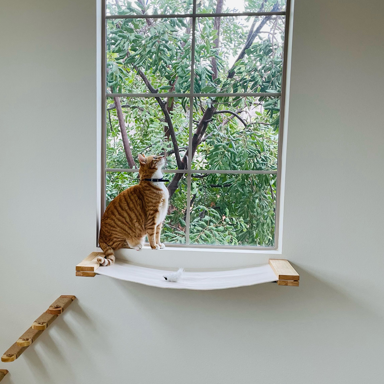 FUKUMARU  Cats Wall Furniture Wall Mounted Hammock Climbing Steps Cats Shelves and Perches Indoor Climbing Frame Cat Bed