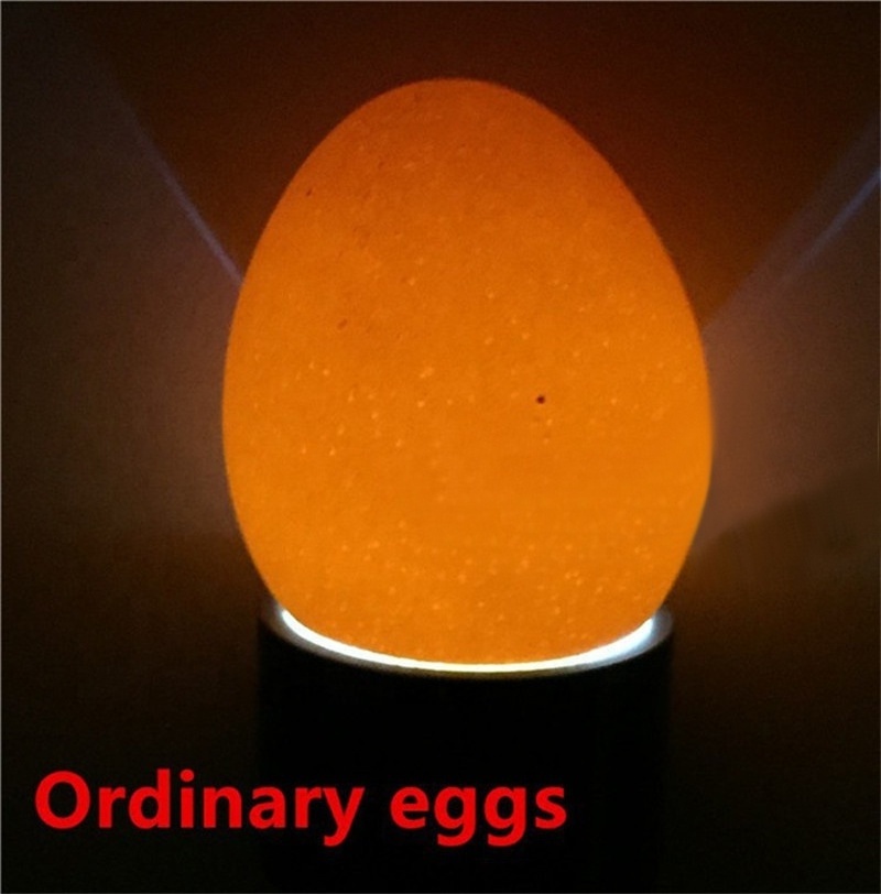 High Quality Incubator Lamp Fertile Egg candler 9 LED Light Incubation Equipment Egg tester