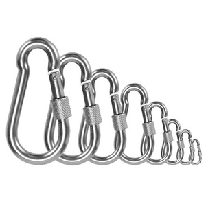 Heavy Duty Metal Safety Sling Snap Hook DIN5299 D Stainless Steel 316 Marine Grade HK Spring Snap Hook Carabiner with Screw Lock