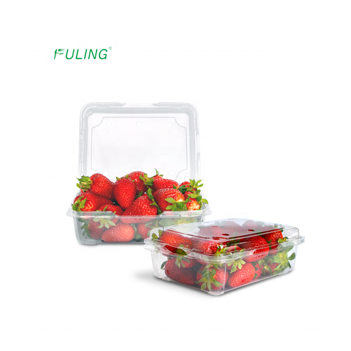 clear plastic Fruit packaging punnet transparent strawberry containers clamshell packaging box