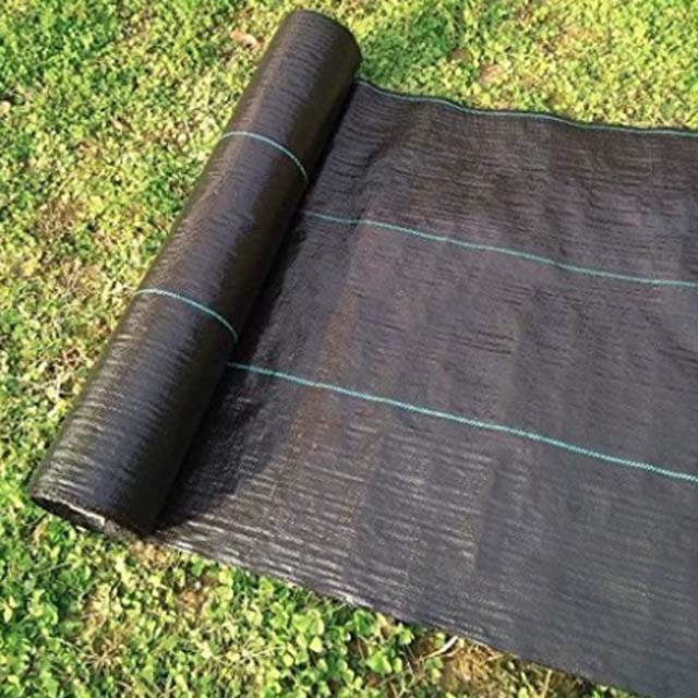 Agricultural Use Pp Plastic Fabric Anti Grass Ground Cover Weed Control Mat