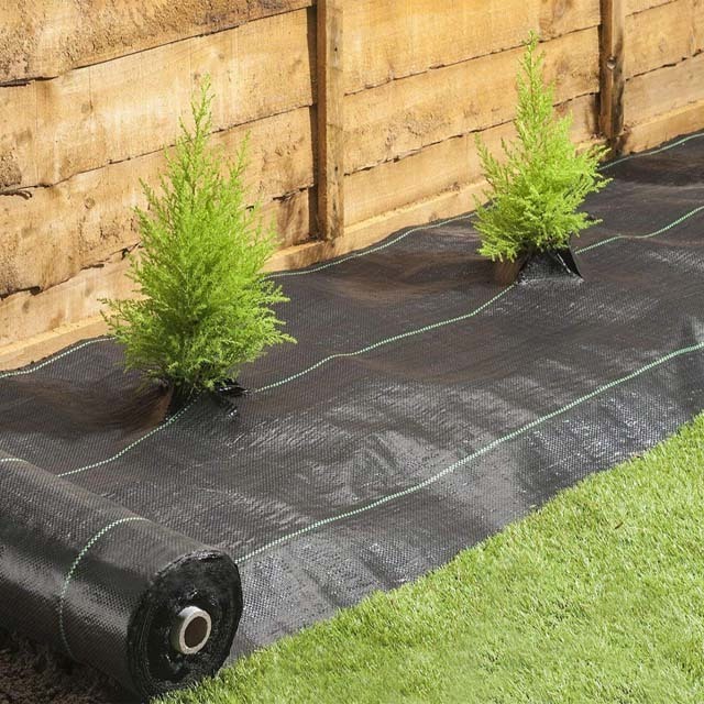 Agricultural Use Pp Plastic Fabric Anti Grass Ground Cover Weed Control Mat