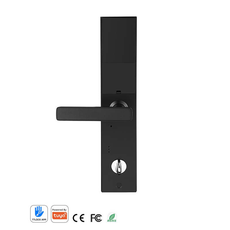 Electronic security sliding fingerprint face recognition digital guangdong tuya smart home handle front door lock with camera