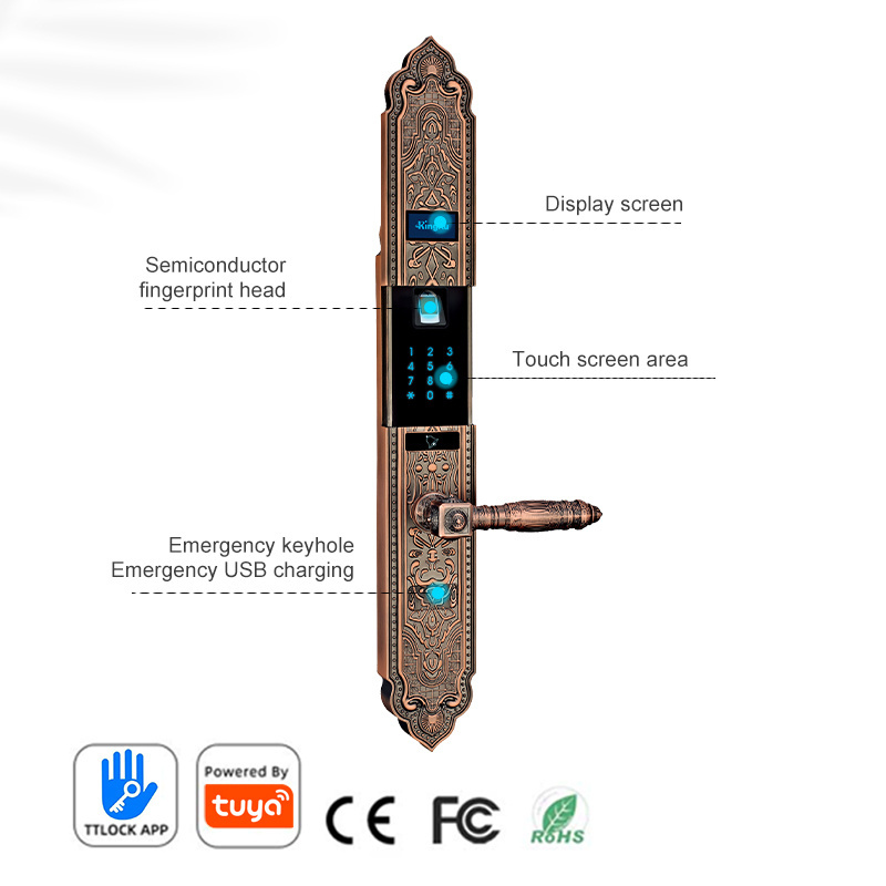 European style fingerprint electronic digital tuya remote august mortise handle sliding smart door locks with key for door