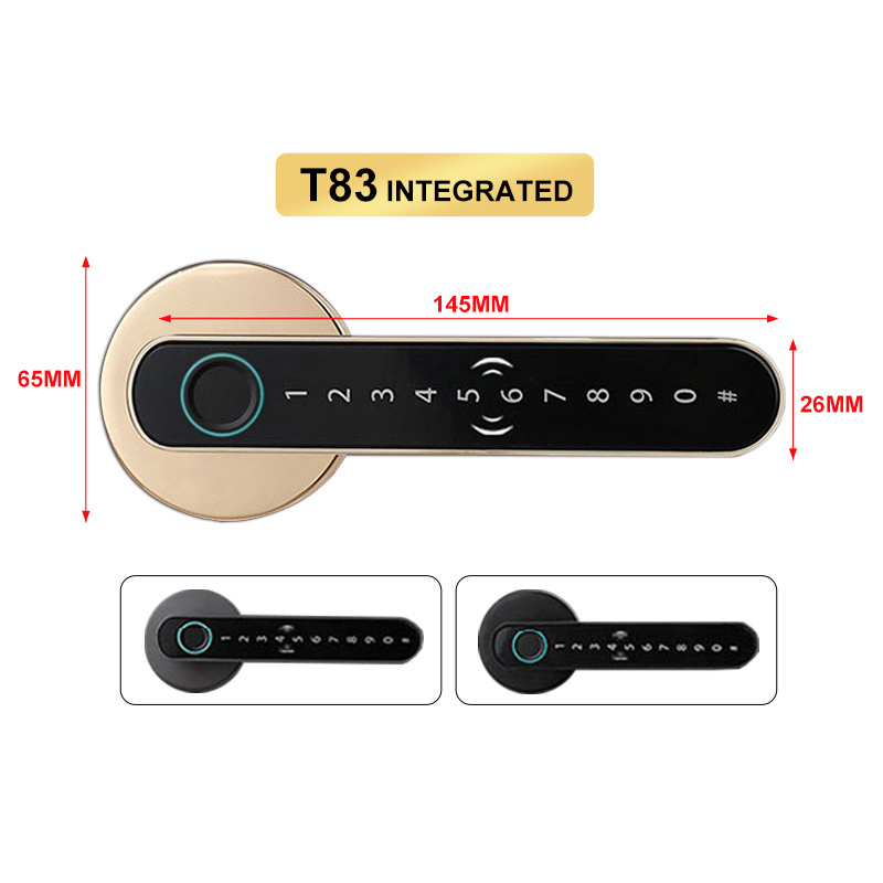 Tuya ttlock remote control fingerprint password inside smart door lock gold