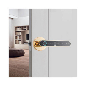 Tuya ttlock remote control fingerprint password inside smart door lock gold