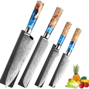 4pcs Damascus Steel VG10 Blue Resin Wood Handle Boning Utility Bread Chef Kitchen Knife