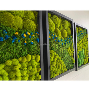 Wholesale Customized Office Decoration 3D Real Natural Preserved Moss Wall Art Wooden Shadow Box Frame