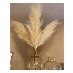 Factory Wholesale Artificial Large Faux Pampas Grass