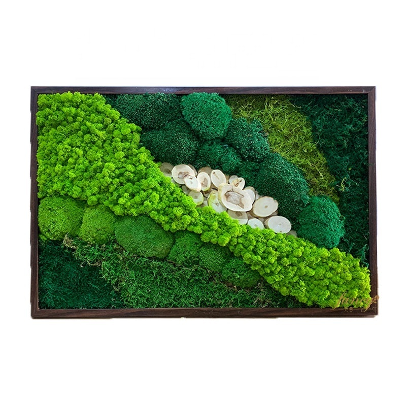 Interior Decorative Pieces Green Plants Home Decor Moss Wall Decor