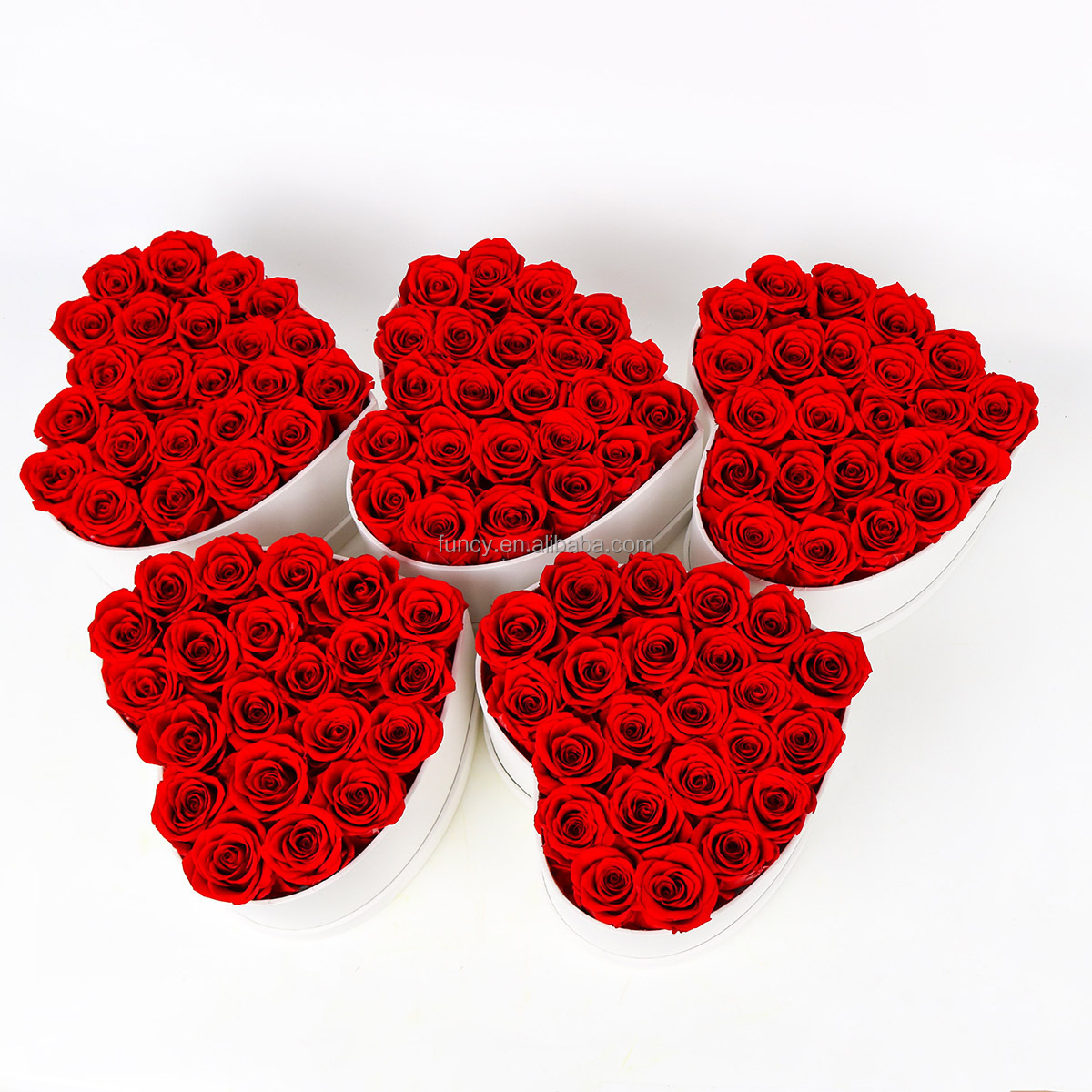 Hot Selling Red Color Valentines Day Gift Eternal Forever rosas eternas Immortal eternelle Boxed Rose Preserved Flower