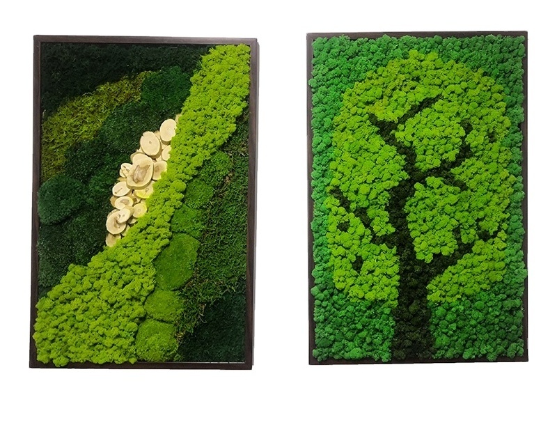 Interior Decorative Pieces Green Plants Home Decor Moss Wall Decor