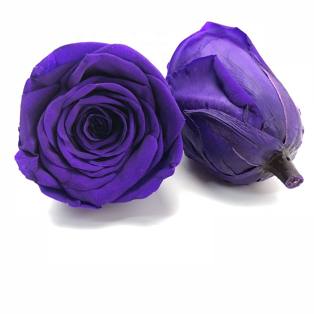 All Occasions Decorative Crafts Stabilized Purple Flowers Eternal Roses for Flower Wall