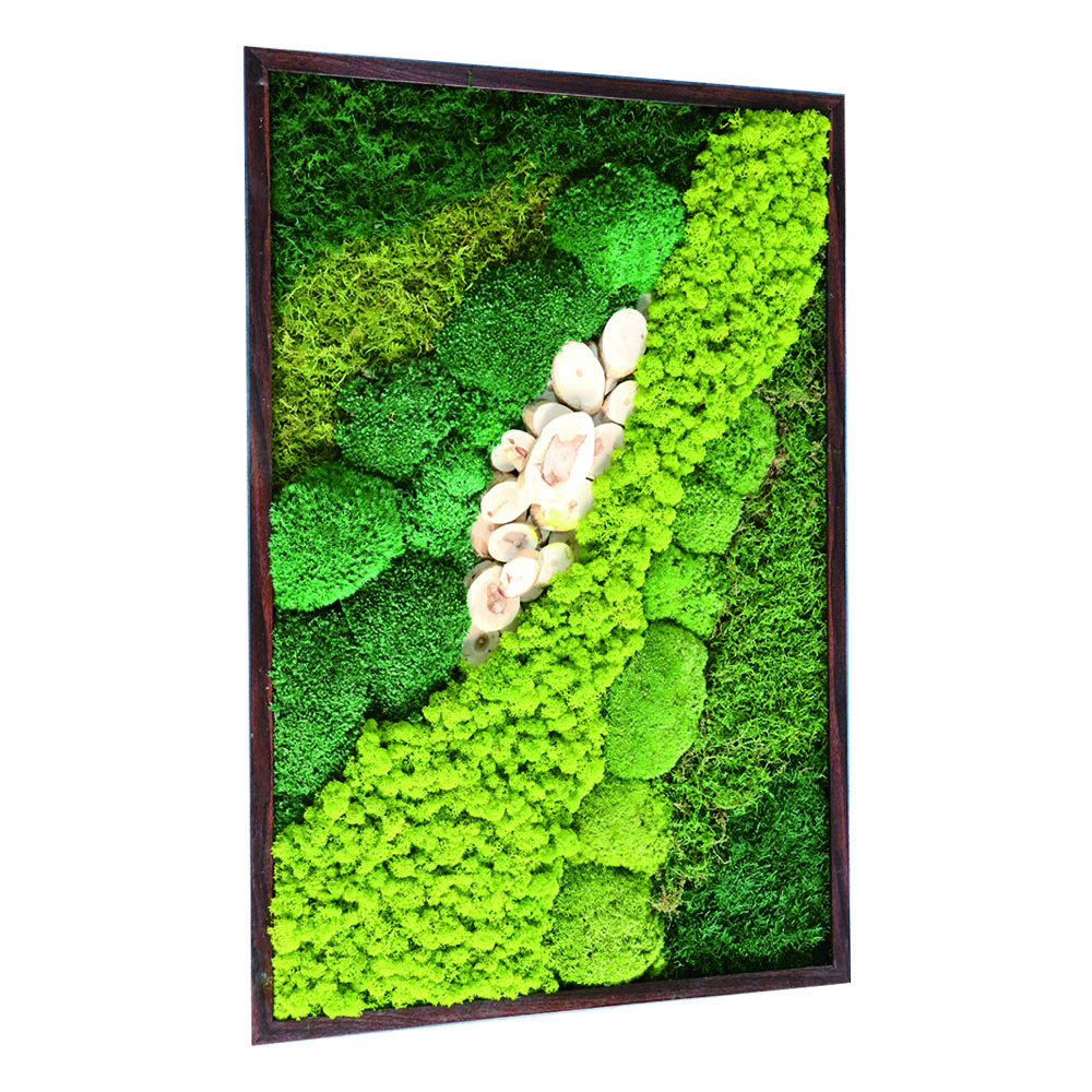 Landscaping China Wholesale 30*30CM Reindeer Moss Wall Stabilized Panel