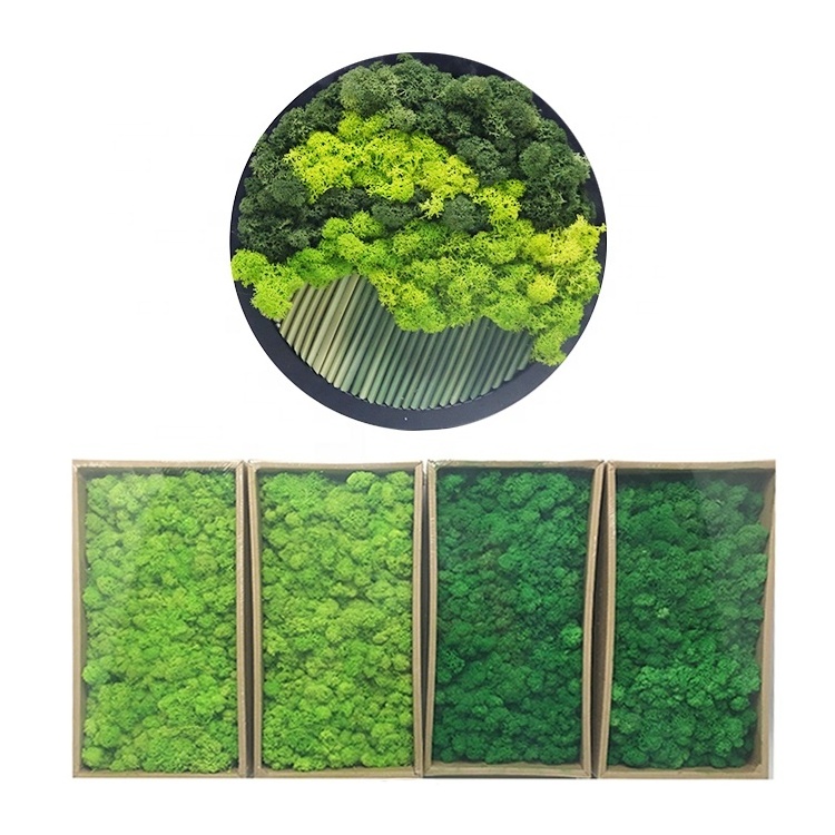 Decoracion Interior Design Stabilized Preserved Moss Green Home Wall Decor