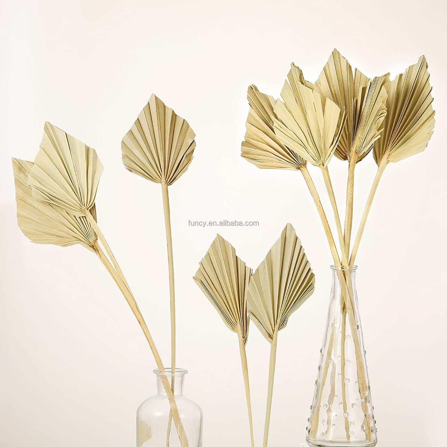 Fast Delivery Pampas Artificial Dried Flower Leaf Decorative Preserved Leaf Palm Tree Leaves