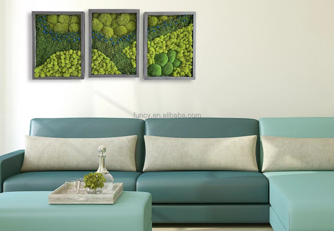 Wholesale Customized Office Decoration 3D Real Natural Preserved Moss Wall Art Wooden Shadow Box Frame