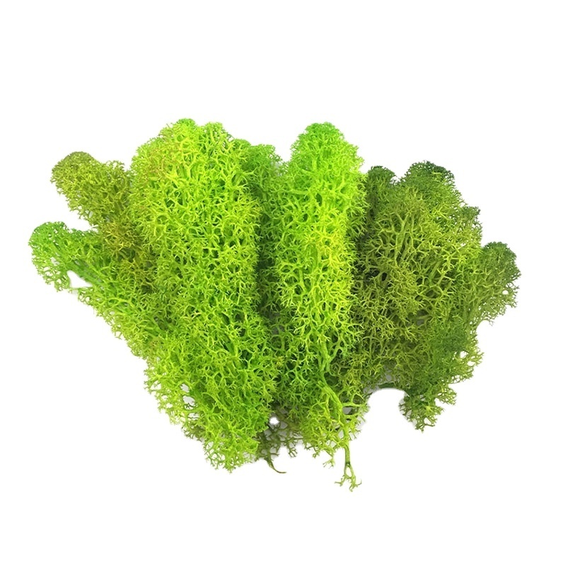 Decoracion Interior Design Stabilized Preserved Moss Green Home Wall Decor