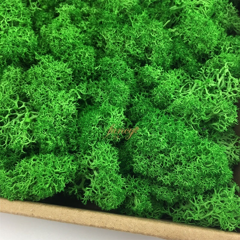 Landscaping China Wholesale 30*30CM Reindeer Moss Wall Stabilized Panel