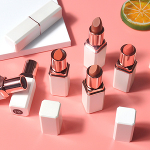 High Quality Matte Vegan Lipstick Private Label Makeup Vendor Make Your Own Brand 9 Colors Cream Red Japan Lipstick Cosmetics