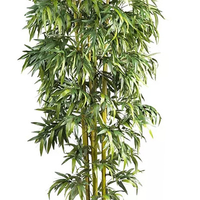 CR Wholesale Plastic Bamboo Potted Plants Artificial Green Indoor Plants For Home Decor