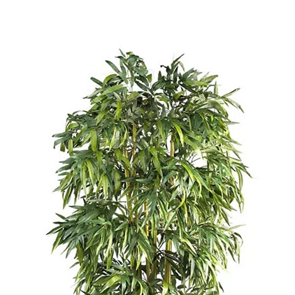 CR Wholesale Plastic Bamboo Potted Plants Artificial Green Indoor Plants For Home Decor