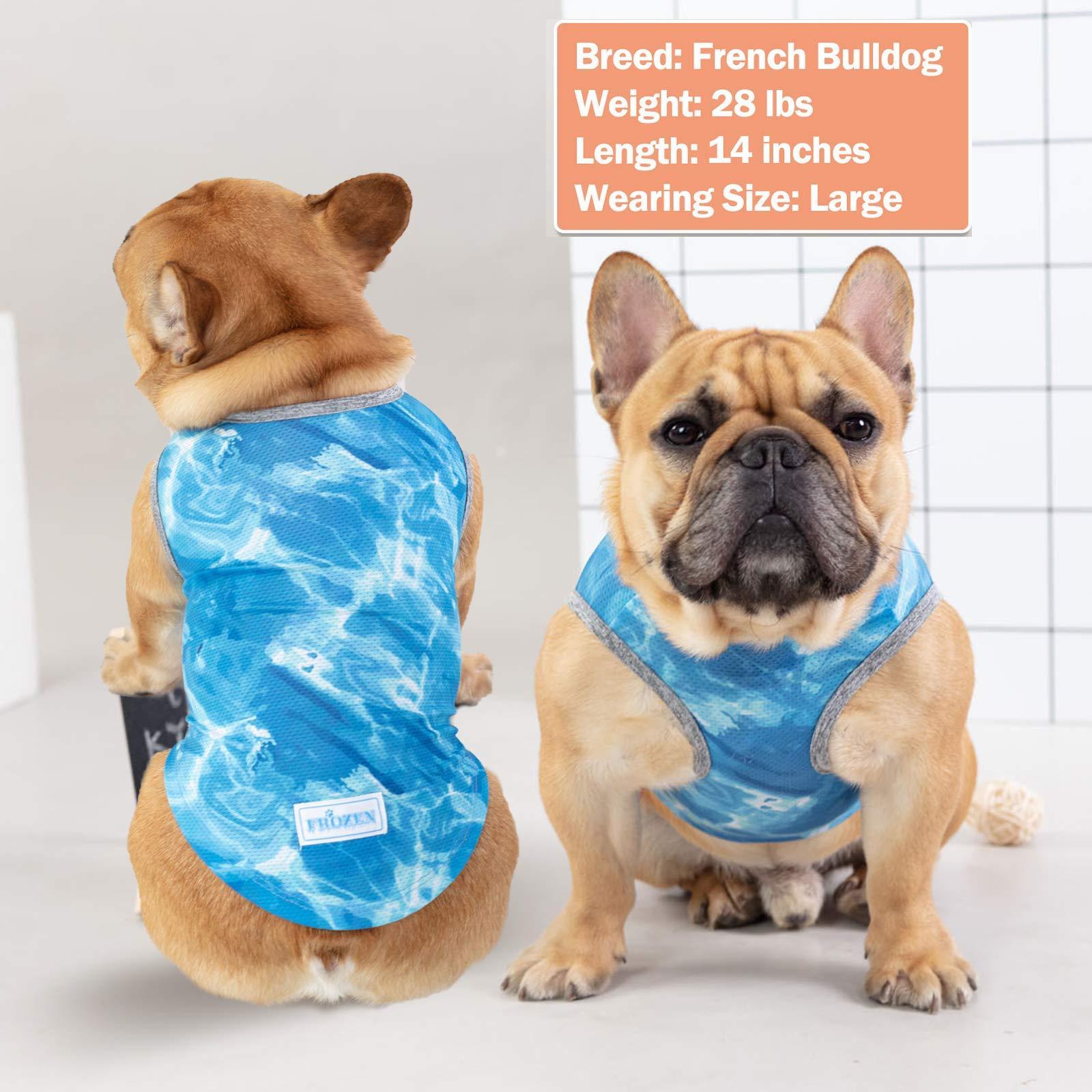 Summer Breathable Instant Pet Cooling Ice Dog Vest Lightweight Cooling Shirt for Small Dogs