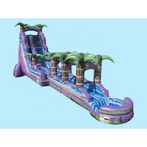 Commercial Inflatable Purple Toboggan Slip N Slide Water Slide For Sale