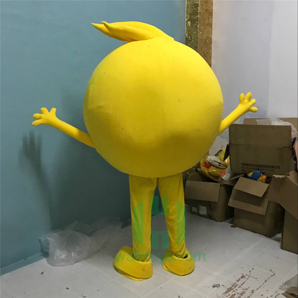 Custom Cartoon Character  Mascot Costumes Animal Adult Yellow balls