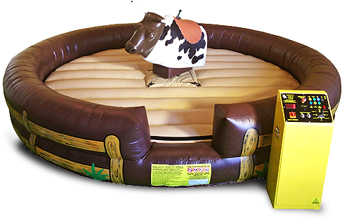 Amusement Park Mechanical Rodeo Bull Rides Price