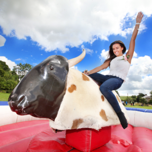 Amusement Park Mechanical Rodeo Bull Rides Price