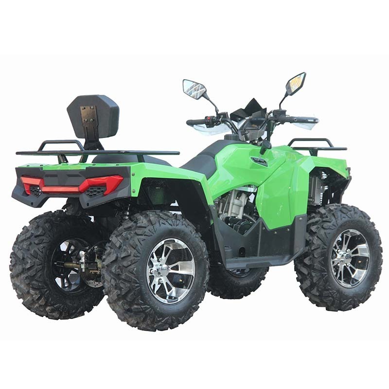 adult atv quads 300cc bashan engine CVT gears atv quad