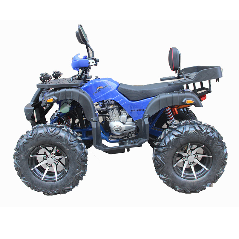 High performance four-wheel motorcycle Off-road Cross-country 250cc Atv entertainment car ATV QUAD moto bike(FM250)