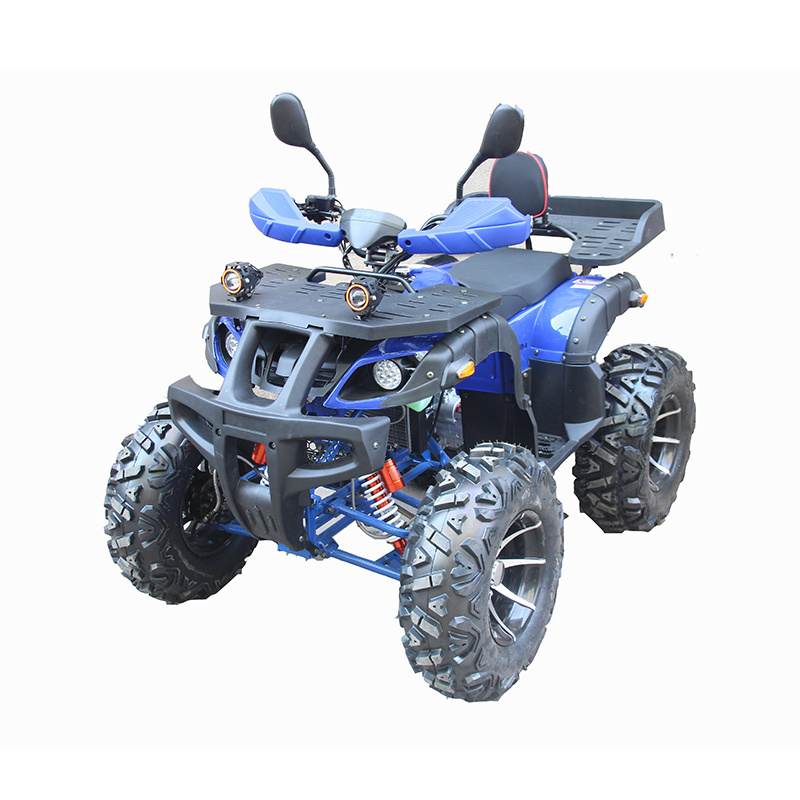 High performance four-wheel motorcycle Off-road Cross-country 250cc Atv entertainment car ATV QUAD moto bike(FM250)