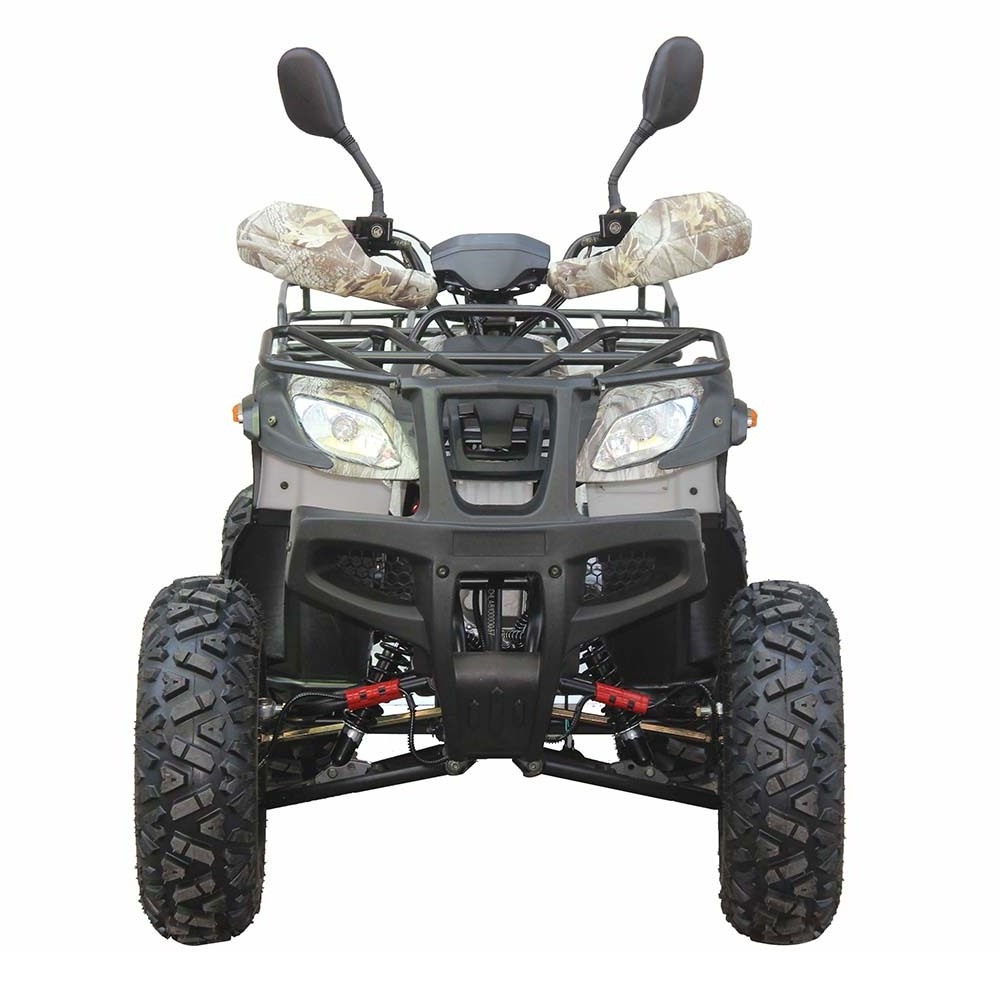 buggy atv quad CE adult atvs 4 wheeler 250cc 200cc 150cc 125cc 110cc 4 stroke ATV