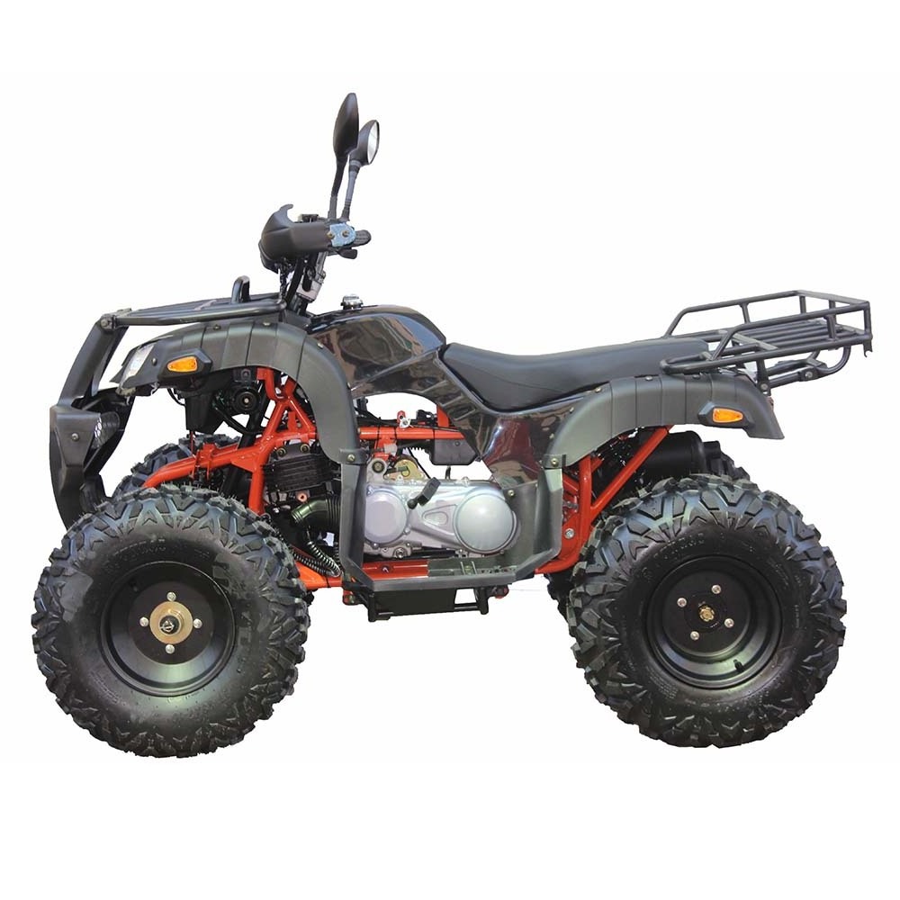 buggy atv quad CE adult atvs 4 wheeler 250cc 200cc 150cc 125cc 110cc 4 stroke ATV