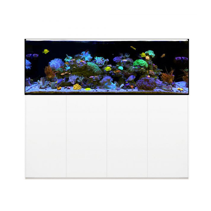 6ft 220 Gallon 19mm Ultra Clear Glass Large Saltwater Aquarium Fish Tank with Cabinet and Acrylic Sump