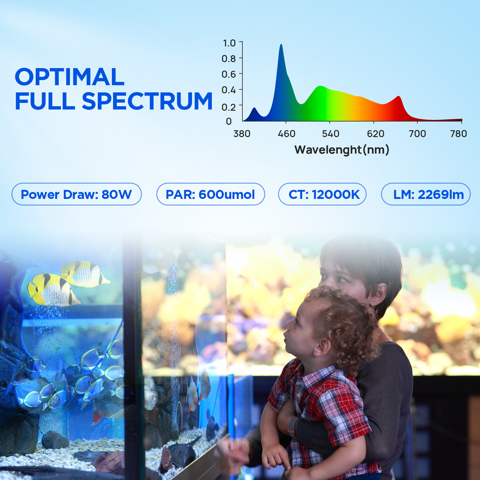 Dimmable 80W Wireless Remote Control Full Spectrum Reef Aquarium LED Light for 45-60cm Marine Tank