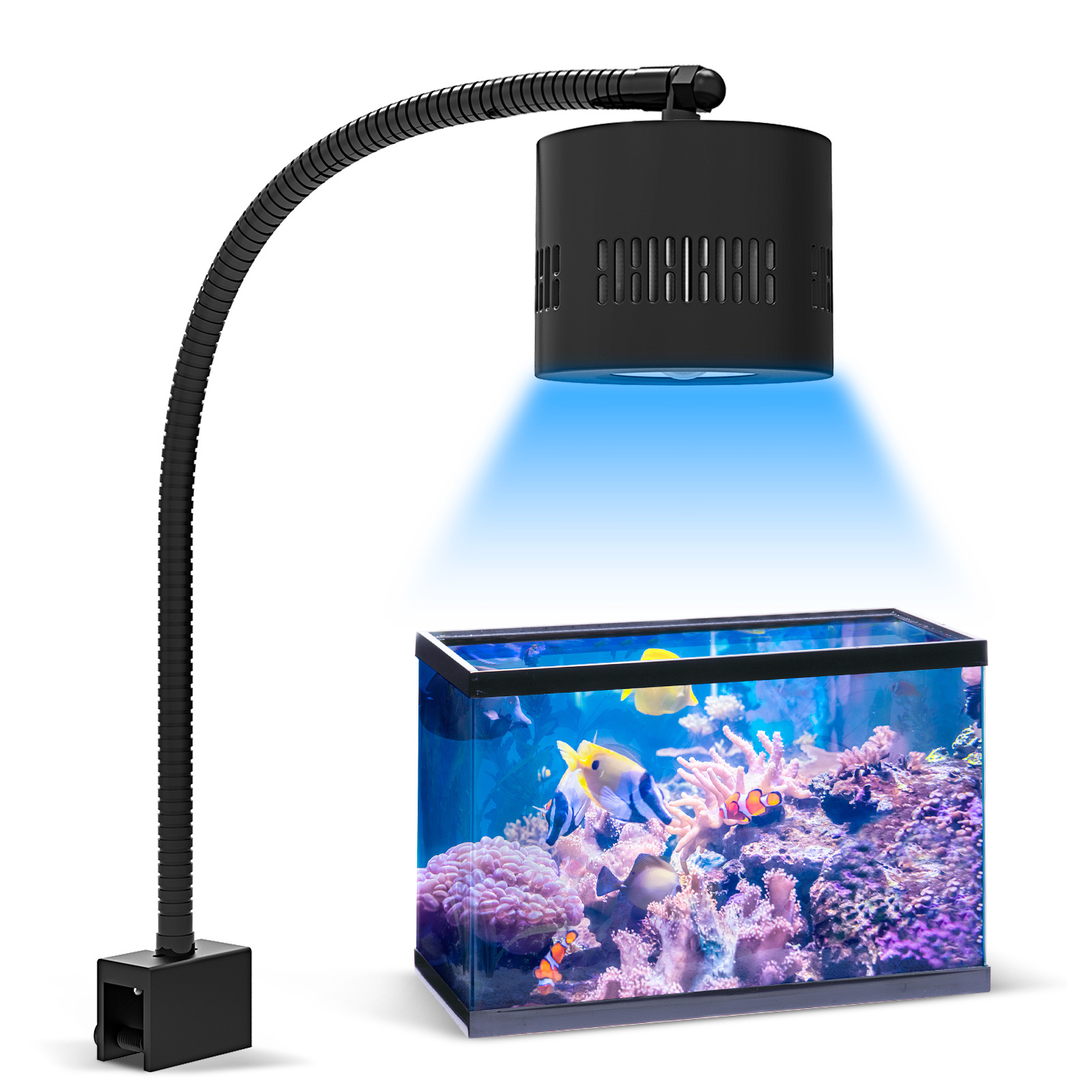 Dimmable 80W Wireless Remote Control Full Spectrum Reef Aquarium LED Light for 45-60cm Marine Tank