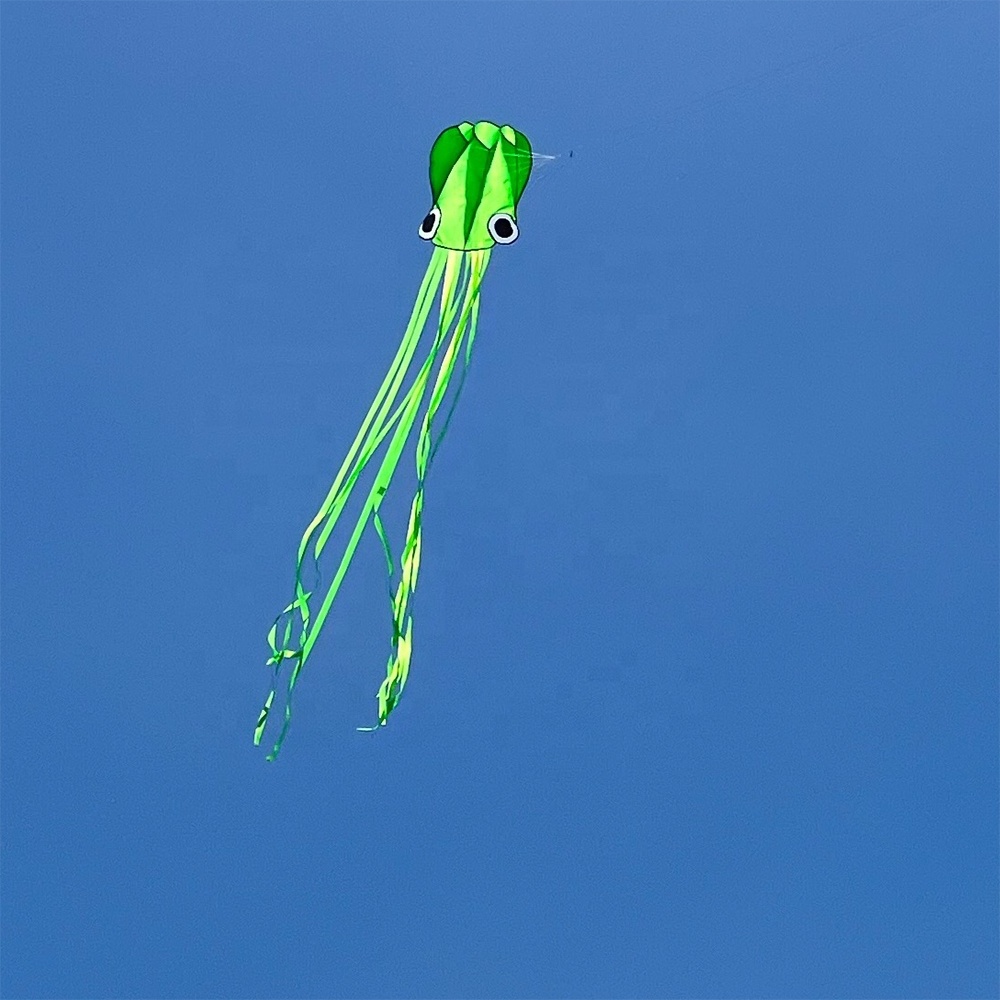 Easy to Fly Customized Color Factory Supply Popular Big Animal Cartoon Octopus Kite on Sale