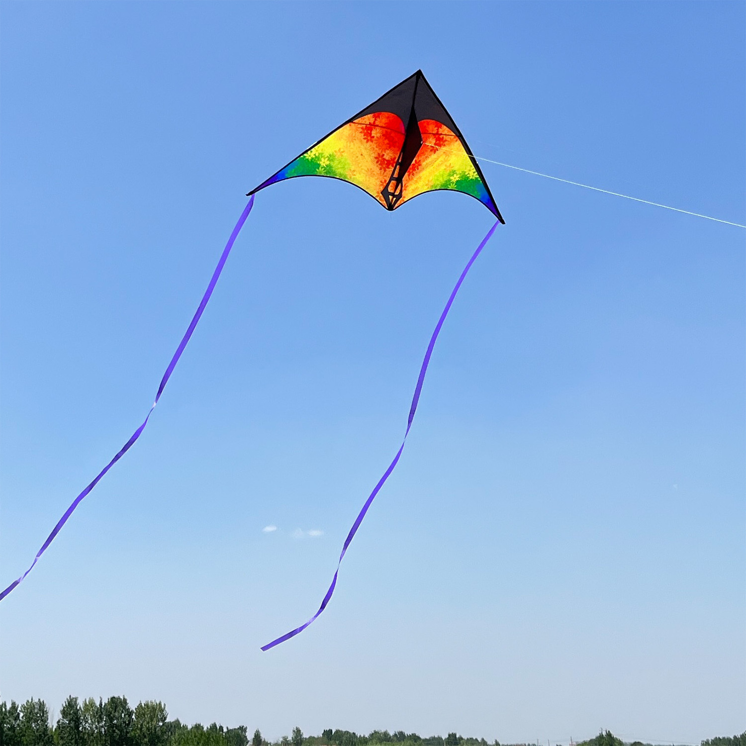 Easy To Fly Wholesale New Style Big Colored Delta Kite In Bulk For Sale With Long Tail Flying Line