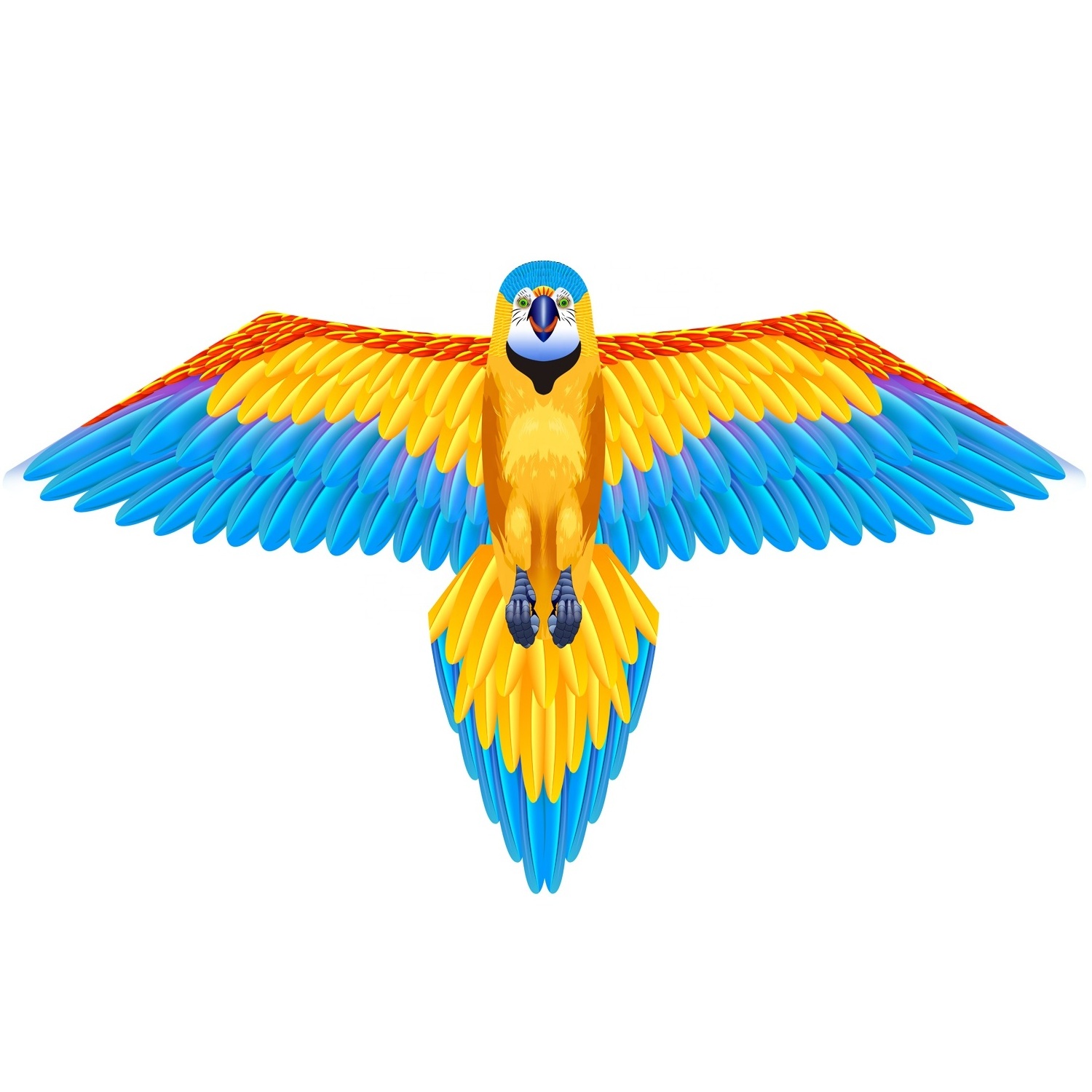 Hot Sale New Design Single Line Big Bird Parrot Flying Kite for Kids and Adults from Weifang Kite Factory