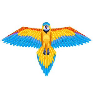 Hot Sale New Design Single Line Big Bird Parrot Flying Kite for Kids and Adults from Weifang Kite Factory